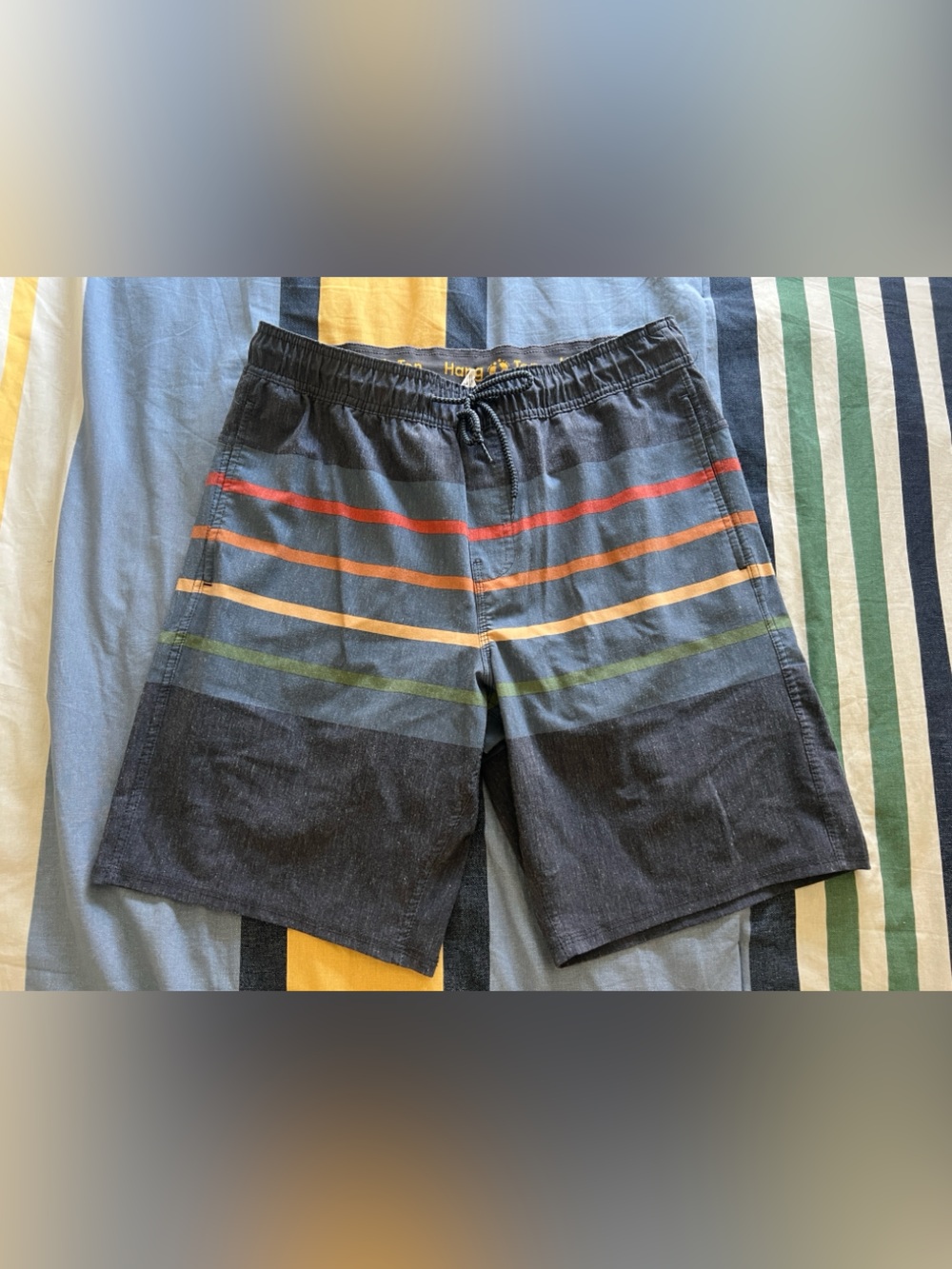 Hang Ten Navy Striped Hybrid Shorts with Multicolor Bands